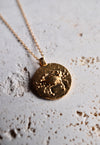 Zodiac coin necklace